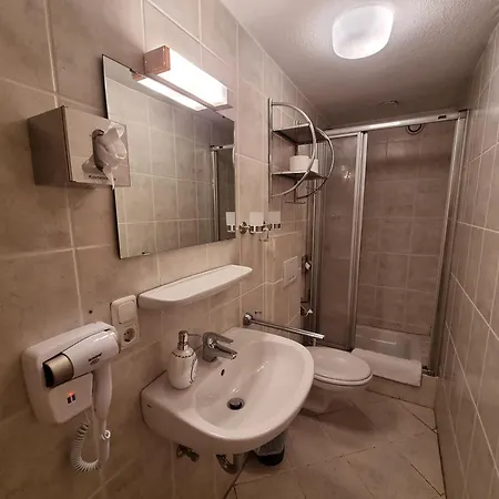 Hotel - Zum Schwanenkoenig
