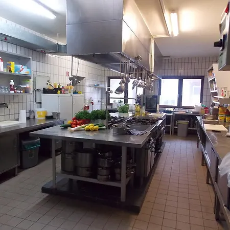 - Zum Schwanenkoenig Medebach