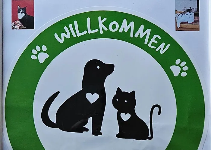 - Zum Schwanenkoenig Hotel Medebach