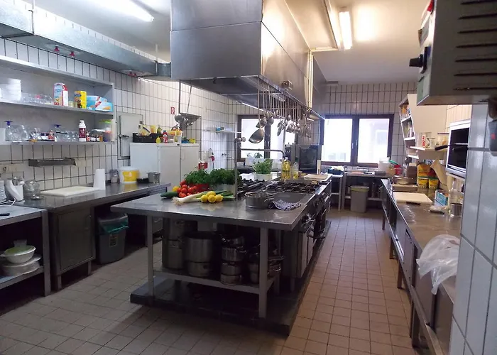 - Zum Schwanenkoenig Medebach